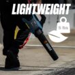 SENIX 60-volt Max 810-CFM 170-MPH Battery Handheld Leaf Blower 4 Ah (Battery and Charger Included) SENIX 60-volt Max 810-CFM 170-MPH Battery Handheld Leaf Blower 4 Ah (Battery and Charger Included)