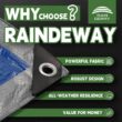 RAINDEWAY Large Tarps 30x30 Feet, 5.5 Mil - Multipurpose Waterproof Poly Tarp Cover, Silver/Blue Tarp