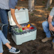 Igloo 50 QT Overland Ice Chest Cooler, Green Igloo 50 QT Overland Ice Chest Cooler, Green