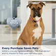 BISSELL PowerForce Pet XL Upright Carpet Cleaner 3748