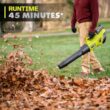 RYOBI RY404014K 40V HP Brushless Whisper Series 160 MPH 650 CFM Cordless Battery Leaf Blower with 4.0 Ah Battery and Charger