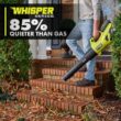 RYOBI RY404014K 40V HP Brushless Whisper Series 160 MPH 650 CFM Cordless Battery Leaf Blower with 4.0 Ah Battery and Charger