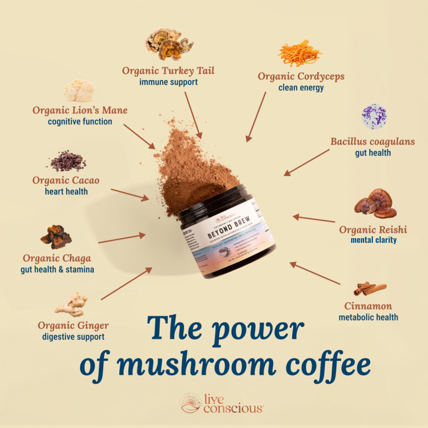 Live Conscious Beyond Brew - Coffee Alternative - Low Caffeine - Mushroom Complex w/Lion’s Mane, Reishi, Cordyceps & Chaga Live Conscious Beyond Brew - Coffee Alternative - Low Caffeine - Mushroom Complex w/Lion’s Mane, Reishi, Cordyceps & Chaga - Image 6