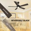 CARRO USA Aspen 56-in Black with Wooden/Walnut Blades Indoor/Outdoor Smart Ceiling Fan with Light and Remote (5-Blade)