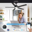 CARRO USA Essex 52-in Black with Wooden/Walnut Blades Indoor/Outdoor Smart Ceiling Fan with Light and Remote (5-Blade)