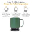 Nextmug Temperature Controlled, Self-Heating Coffee Mug (Sage - 14 oz.)