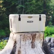 Lifetime New 115 Qt. Capacity High Performance Polyethylene Cooler, Khaki (91000)