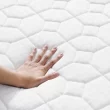 Zinus 6" Bonnell Innerspring Mattress Firm Feel, Twin
