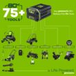 Greenworks 80-volt 10-in 2 Ah Battery Pole Saw (Battery and Charger Included)