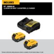 DEWALT 20-V 2-Pack Lithium-ion Battery and Charger (5 Ah) DEWALT 20-V 2-Pack Lithium-ion Battery and Charger (5 Ah)