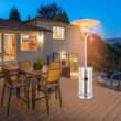 GZMR 48000-BTU Silver Stainless Steel Floorstanding Liquid Propane Patio Heater