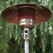 Master Forge 48000-BTU Stainless Steel Stainless Steel Floorstanding Liquid Propane Patio Heater