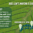 Jade Leaf Matcha Organic Cafe Style Sweetened Matcha Latte Green Tea Powder, Premium Barista Crafted Mix - Authentically Japanese (2.2 Pound Tin)