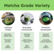 Matcha Green Tea Powder Single Serving Sticks, Dr. Weil's Ceremonial Organic Matcha Powder Singles Packets - Individual Matcha Tea Packets (24)