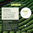 Encha Ceremonial Grade Matcha Powder - First Harvest Organic Japanese Matcha Green Tea Powder, From Uji, Japan (60g/2.12oz)