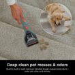 Shark CarpetXpert Upright Deep Carpet Cleaner with Handheld Spot & Stain Eliminator, 12oz Cleanser, Slate Green, EX151