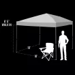 DSG 10'x10' Quick Lift Straight Leg Canopy - Royal