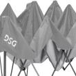 DSG 12'x12' Straight Leg Canopy - Grey