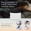 Coop Home Goods Original Loft Pillow Queen Size