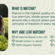 Jade Leaf Matcha Organic Green Tea Powder - Culinary Grade Premium Second Harvest - Authentic Japanese Origin (8.8 Ounce Bulk Resealable Pouch)