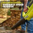 RYOBI 40V 120 MPH 550 CFM Cordless Battery Blower With 4.0 Ah Battery and Charger RYOBI 40V 120 MPH 550 CFM Cordless Battery Blower With 4.0 Ah Battery and Charger