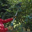 Scotts PR17216PS 7.2V Electric Cordless Telescoping Pole Pruner - 2 Ah Battery and Charger Included