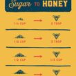 Local Hive Northeast Raw Unfiltered Honey – 32oz, Pure US Honey, Sourced from American Bees and Beekeepers