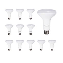 Sylvania LED Flood BR30 Light Bulb, 65W = 9W, 650 Lumens, Dimmable, 2700K, Soft White - 12 Pack (41262)