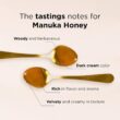 MANUKA DOCTOR - MGO 1125+ Manuka Honey Monofloral, 100% Pure New Zealand Honey (8.75 oz)