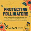 Local Hive Northeast Raw Unfiltered Honey – 32oz, Pure US Honey, Sourced from American Bees and Beekeepers
