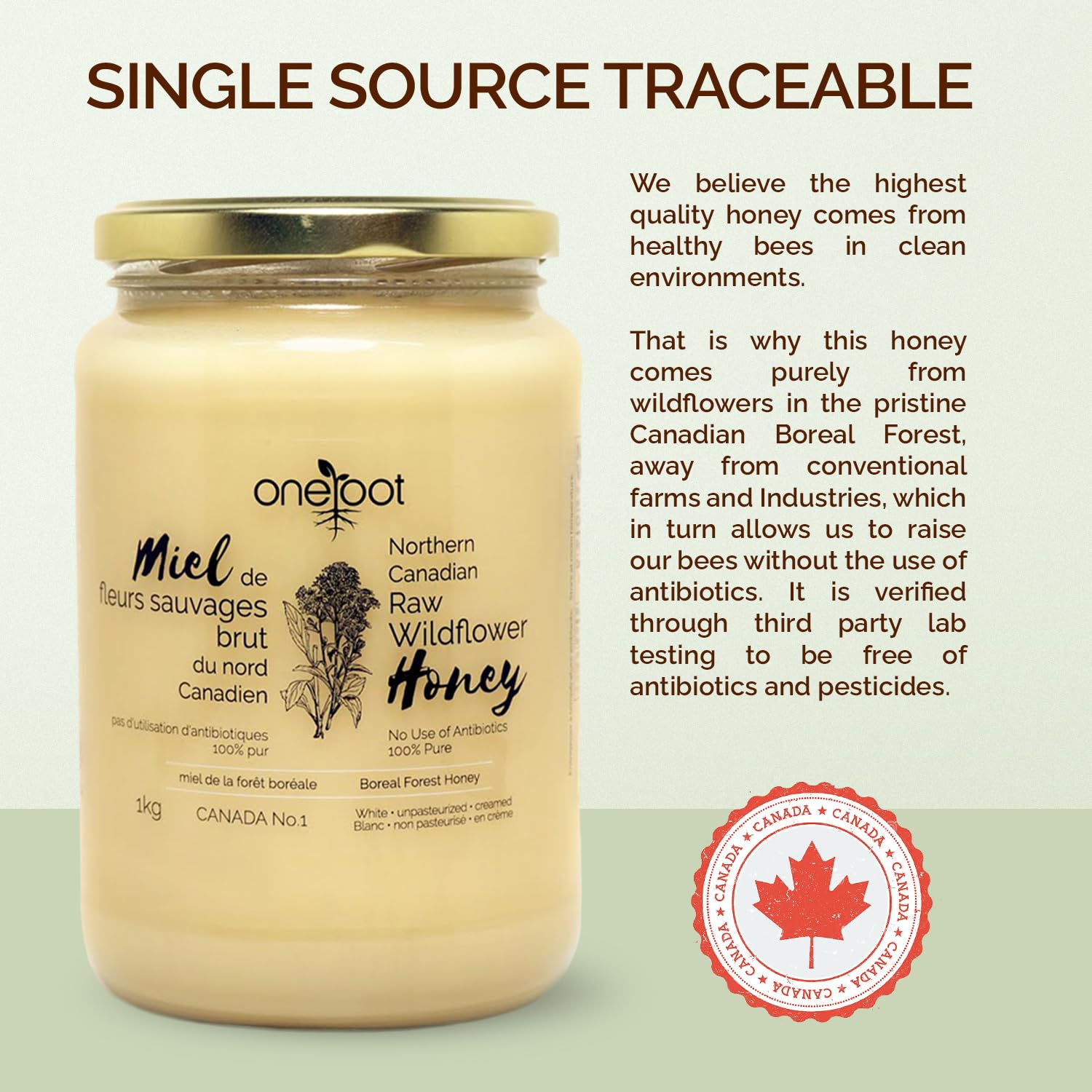 Oneroot Canadian Flower Honey - 1kg / 2.2lbs, Honey Wildflower Unfiltered, Unheated & Creamed Oneroot Canadian Flower Honey - 1kg / 2.2lbs, Honey Wildflower Unfiltered, Unheated & Creamed - Image 4