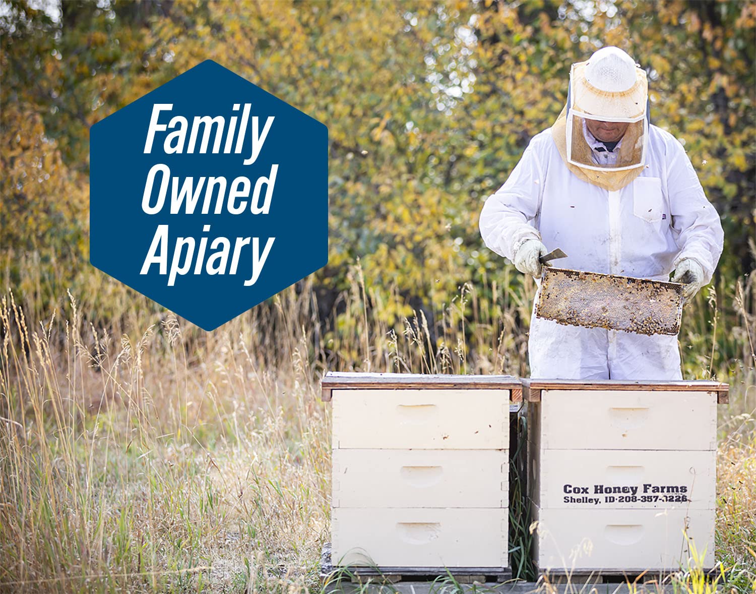 Cox's Honey Pure, Raw Unfiltered Clover , Rich in Nutrients, Family Owned Apiary, 5 lbs Jug Cox's Honey Pure, Raw Unfiltered Clover , Rich in Nutrients, Family Owned Apiary, 5 lbs Jug - Image 2