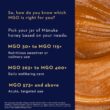 Manuka Health UMF 13+/MGO 400+ Manuka Honey (250g/8.8oz), Superfood, Authentic Raw Honey from New Zealand