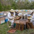 Desert Creek - Raw Honey, Natural Premium and Pure Texas Product - 1 Gallon