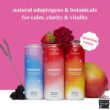 Moment Botanical Soda Soft Drink (Shark Tank), L-Theanine & Ashwagandha for Calm & Clarity 12-pack