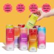 Moment Botanical Soda Soft Drink (Shark Tank) - SPARKLING Non Alcoholic Drinks, Berry Blast, 12-pack Moment Botanical Soda Soft Drink (Shark Tank) - SPARKLING Non Alcoholic Drinks, Berry Blast, 12-pack