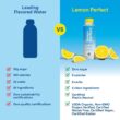Lemon Perfect Blueberry, Hydrating Flavored Lemon Water, Zero Sugar, Delicious and Refreshing, Organic, 15.2 fl oz Bottles (12-Pack)