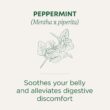 Traditional Medicinals Tea, Organic Peppermint, Soothes Your Belly, Refreshing & Minty, 96 Tea Bags (6 Pack)