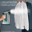 Rowenta Handheld Steamer for Clothes, Pure Force 2in1 Steamer & Iron,1875 Watts, DR8822