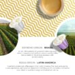 Piu Bello Coffee Capsules Variety Pack for Nespresso Original Machine - Light Roast, Dark Roast, Kosher (6 Flavor Multipack 120 Count)