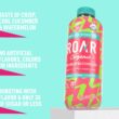 Roar Organic Electrolyte Infusions - USDA Organic - Cucumber Watermelon, Coconut Water Infused Beverage 18 Fl Oz (Pack of 12) Roar Organic Electrolyte Infusions - USDA Organic - Cucumber Watermelon, Coconut Water Infused Beverage 18 Fl Oz (Pack of 12)