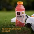 Gatorlyte Rapid Rehydration Electrolyte Beverage, Variety Pack 2.0, 20 Fl Oz (Pack of 12)