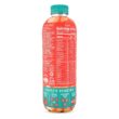 ROAR Complete Hydration Organic Variety Pack - Electrolyte Drinks Loaded with Vitamins C, B5, B12 - 12 pc