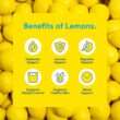 Lemon Perfect Blueberry, Hydrating Flavored Lemon Water, Zero Sugar, Delicious and Refreshing, Organic, 15.2 fl oz Bottles (12-Pack)