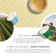 Piu Bello Coffee Capsules Variety Pack for Nespresso Original Machine - Light Roast, Dark Roast, Kosher (6 Flavor Multipack 120 Count)