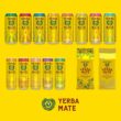 Guayakí Yerba Mate, Organic Sparkling Energy Drink Alternative, 15.5 Oz (Pack of 12) (Packaging May Vary)