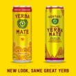 Guayakí Yerba Mate, Organic Sparkling Energy Drink Alternative, 15.5 Oz (Pack of 12) (Packaging May Vary)