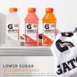 Gatorlyte Rapid Rehydration Electrolyte Beverage, Variety Pack 2.0, 20 Fl Oz (Pack of 12)