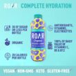 ROAR Complete Hydration Organic - Electrolyte Drinks Loaded with Vitamins C, B5, B12 - Blackberry Lemonade - 12 pc