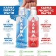 Karma Probiotic Water - 12 Pack, Berry Cherry Drink - Immune & Gut Health Support